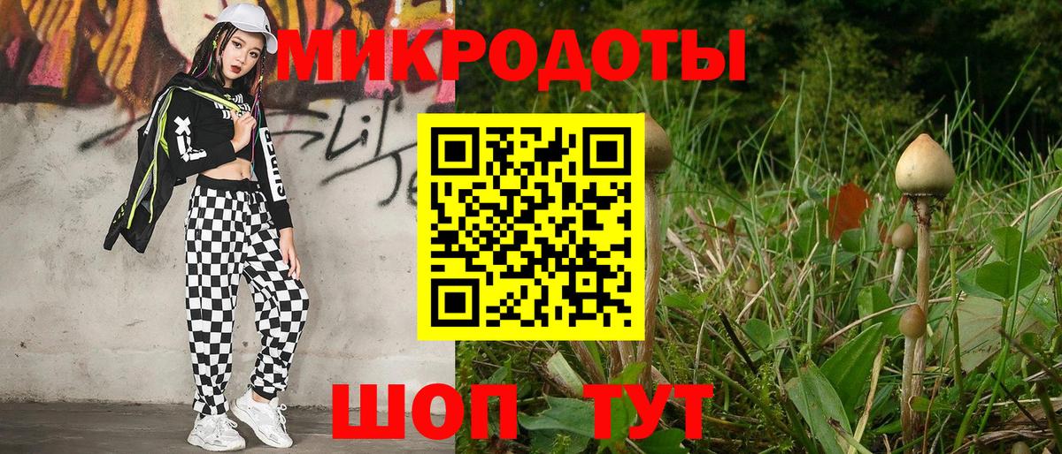 купить наркоту  Галлюциногенные грибы Psilocybine cubensis  Галлюциногенные грибы Psilocybe  Вход с VPN  Нижний Новгород 