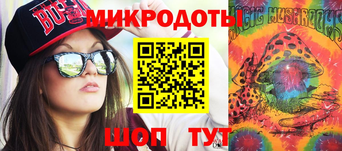 Галлюциногенные грибы Psilocybine cubensis Нижний Новгород